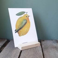 Een zwevend citroen vogeltje. De citroenzanger is een knalgeel vogeltje die daadwerkelijk bestaat.