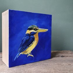 Het IJsvogel project / The kingfisher project