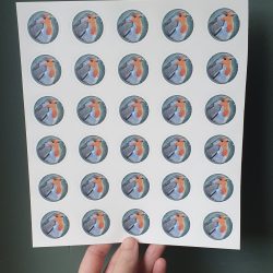 Een stickervel met 30 ronde stickers van een roodbortje. Donkergroene achtergrond.
