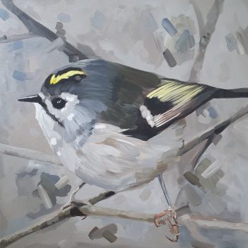 Een grijze achtergrond met de impressie van takken geschilderd. Op de voorgrond een rond grijs vogeltje met een gele streep op zijn kopje. Een goudhaantje.