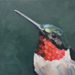 donkergroene achtergrond met op de voorgrond een geschilderde afbeelding van een kolibrie. De kolibrie heeft een combinatie van rode, groene en witte veren.