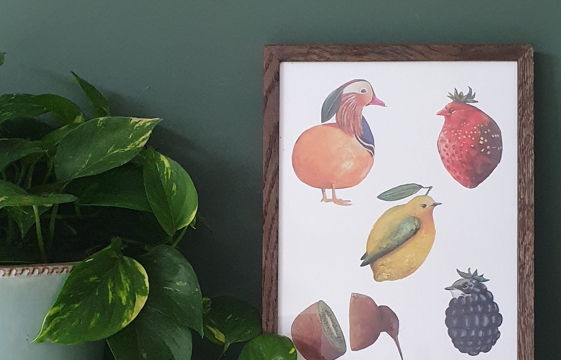 Een ingelijste A4 poster met vijf soorten fruitvogels. Een kiwi, citroenzanger, braamsluiper, tijgervink (Engels Strawberry finch) en mandarijneend