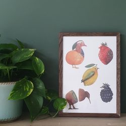Een ingelijste A4 poster met vijf soorten fruitvogels. Een kiwi, citroenzanger, braamsluiper, tijgervink (Engels Strawberry finch) en mandarijneend